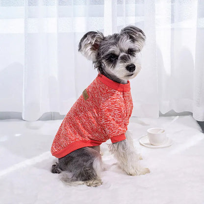 Cozy Winter Sweater for Small Dogs & Cats