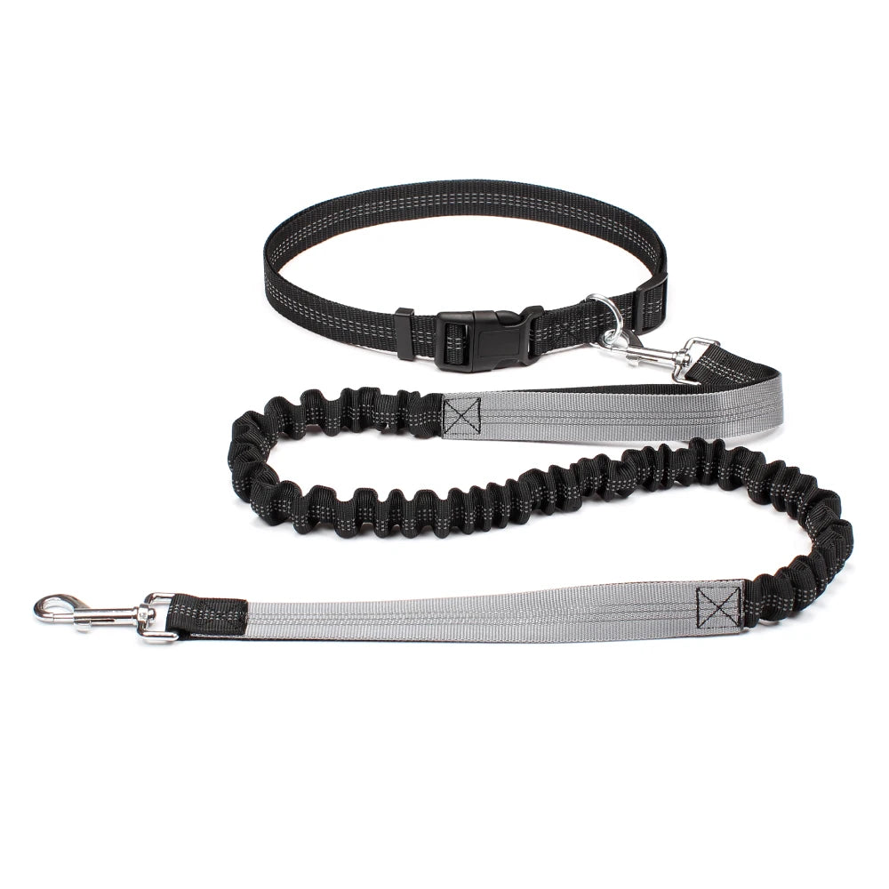 Hands-Free Adjustable Dog Leash for Active Pet Owners