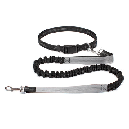 Hands-Free Adjustable Dog Leash for Active Pet Owners