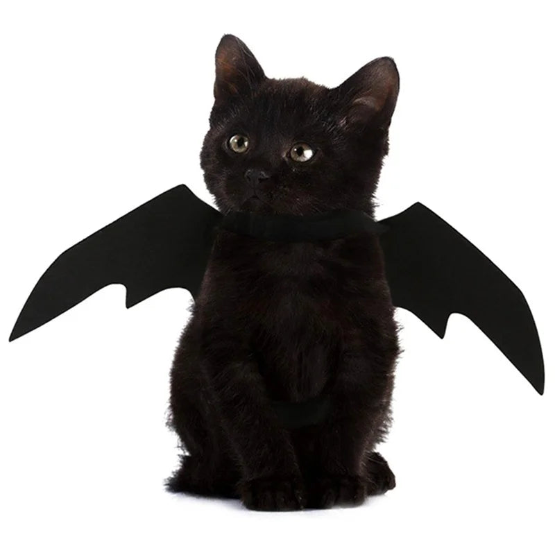 Bat Wings Cat Costume - Lightweight Anti-Escape Halloween Cosplay