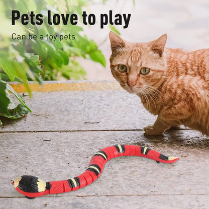 Interactive USB Rechargeable Snake Cat Toy