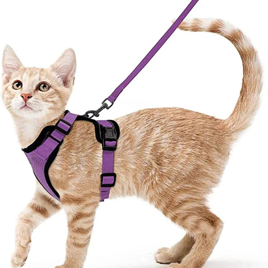 CatHarness Pro – Adjustable Breathable Anti-Escape Harness & Lead Set