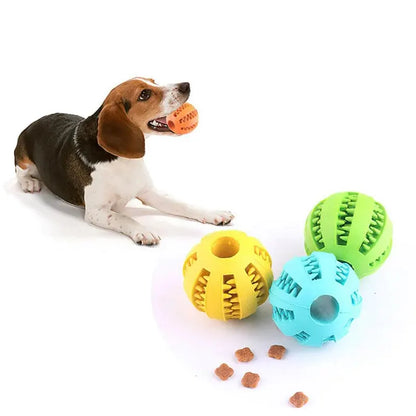 ChewFun Ball™ – Fun, intelligence, and health in one single ball