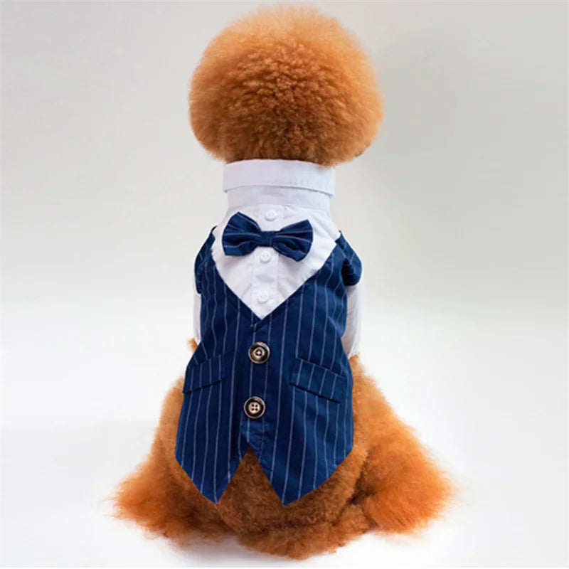 Elegant Dog Tuxedo with Bow Tie for Special Occasions
