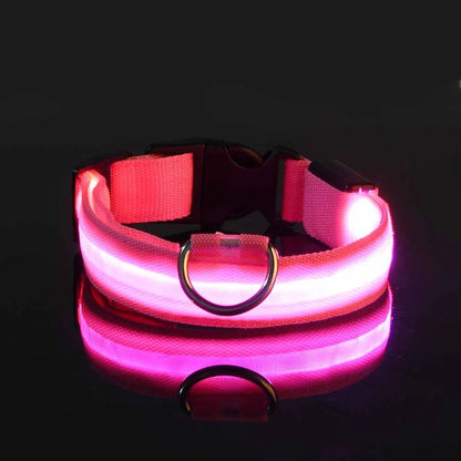 SafeGlow Collar™ – Luminous Safety for Pets