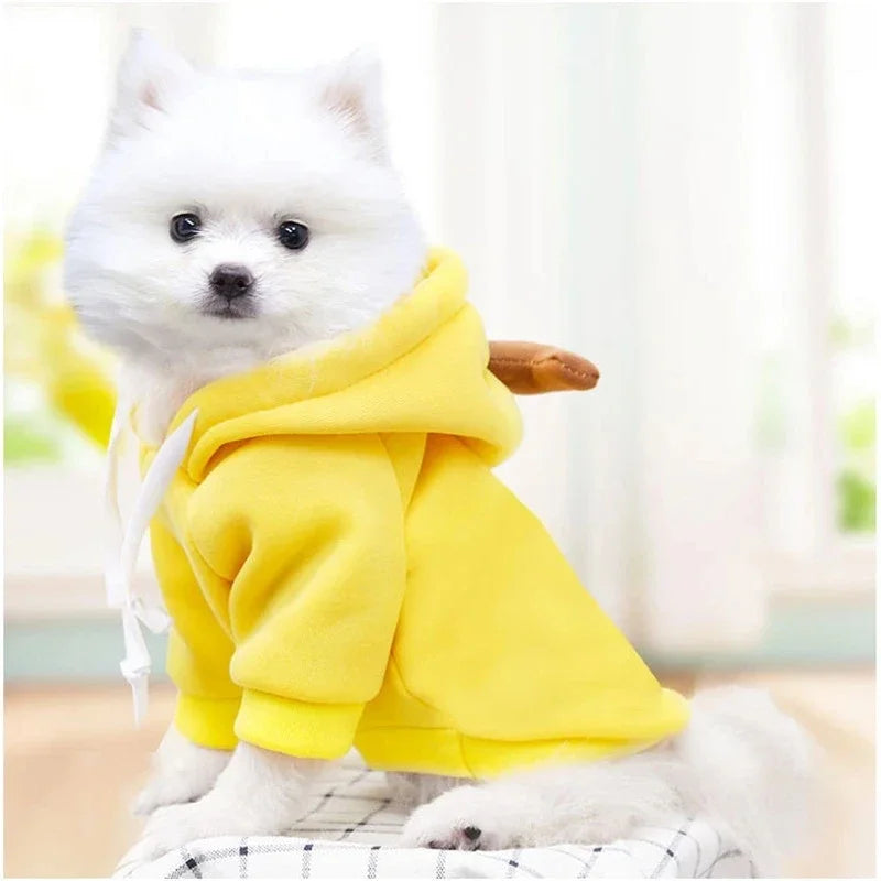 Fun Pet Hoodies Collection - Cosy & Stylish Sweaters for Small to Medium Dogs & Cats