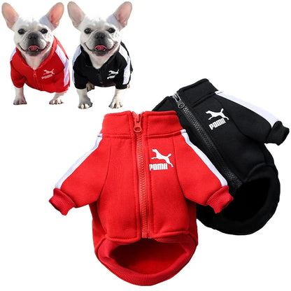 Stylish Winter Jacket for Small and Medium Dogs