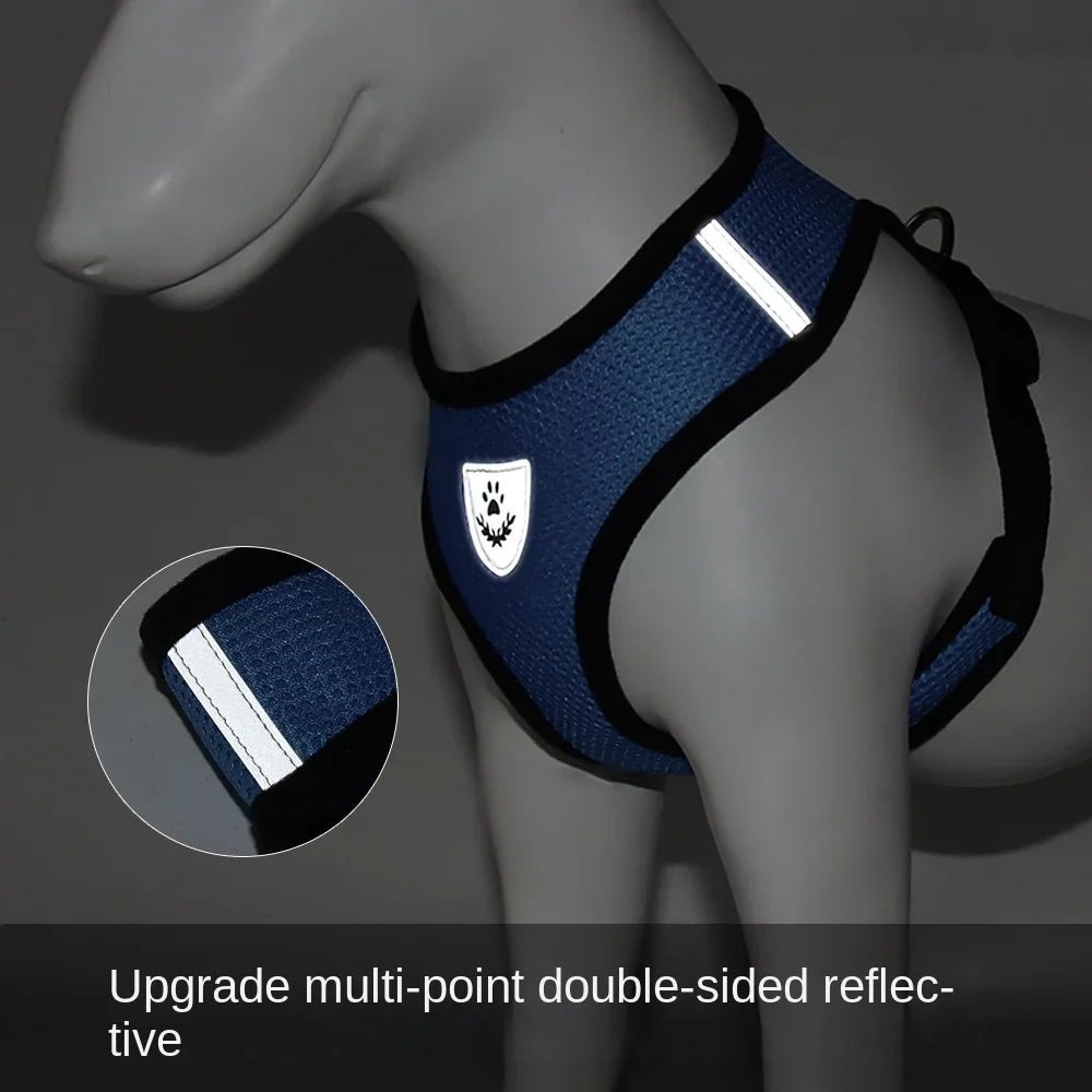 Adjustable and Breathable Harness for Dogs and Cats