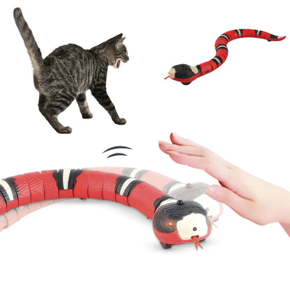 Interactive USB Rechargeable Snake Cat Toy