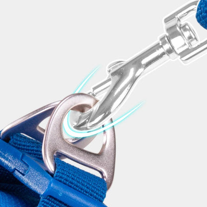 Reflective Dog Harness & Leash Set - Adjustable & Comfortable