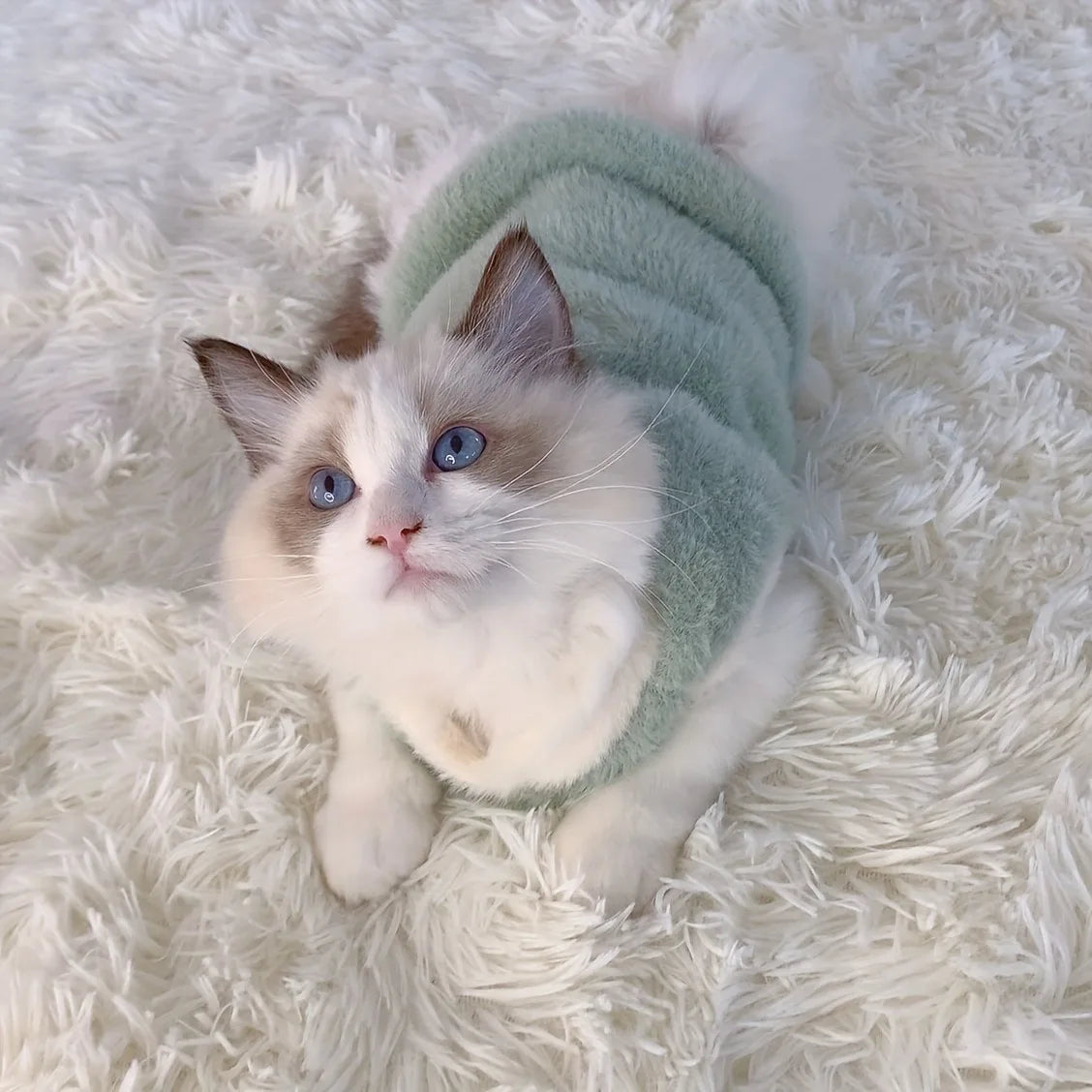 Cozy Winter Vests for Cats - Warm & Stylish Apparel