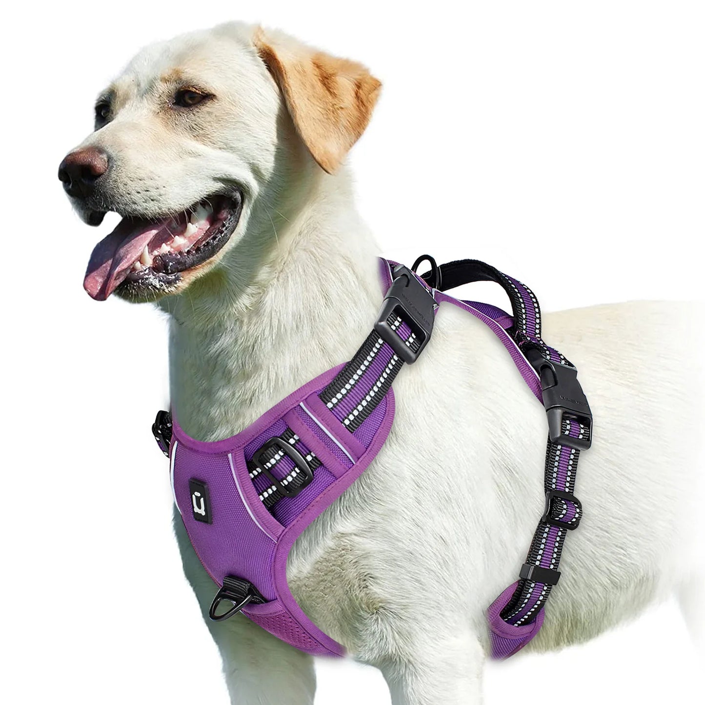 Ultimate No Pull Dog Harness with Reflective Safety