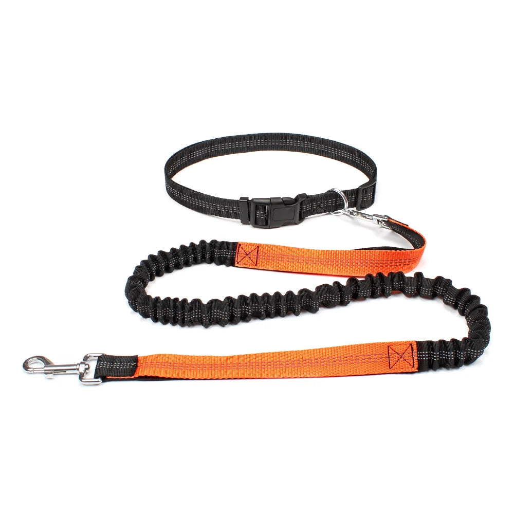 Hands-Free Adjustable Dog Leash for Active Pet Owners