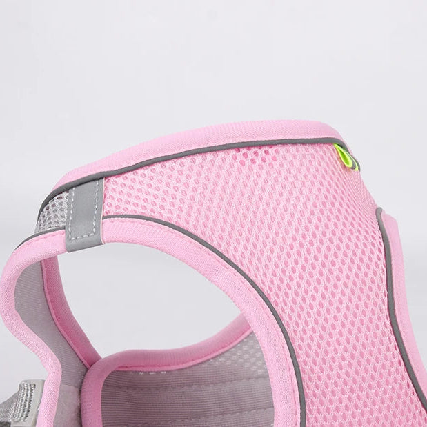 Adjustable Reflective Harness & Leash Set for Small Dogs