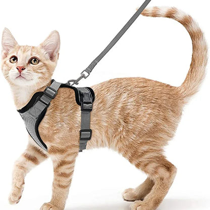 CatHarness Pro – Adjustable Breathable Anti-Escape Harness & Lead Set