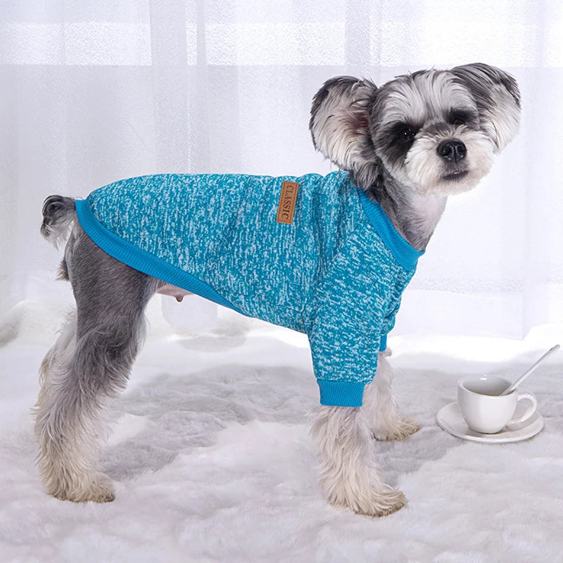 Cozy Winter Sweater for Small Dogs & Cats