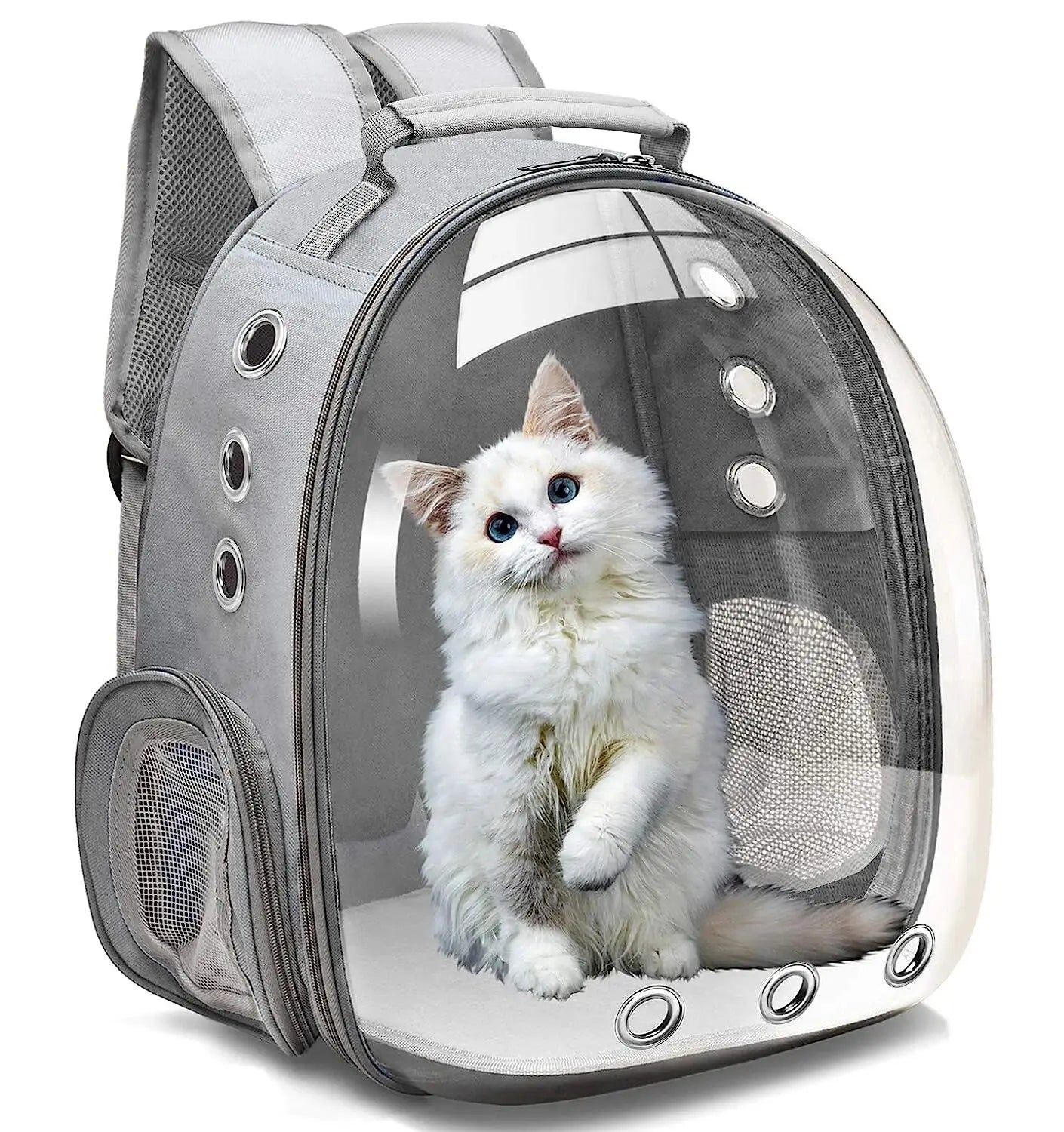 Transparent Capsule Pet Carrier Backpack for Small Animals