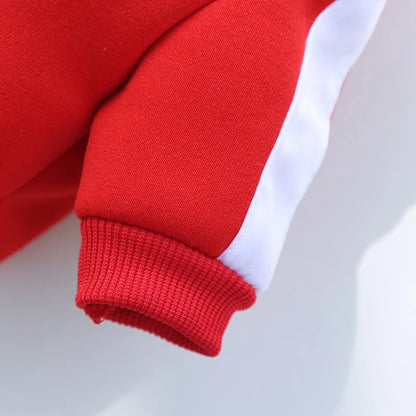 Stylish Winter Jacket for Small and Medium Dogs