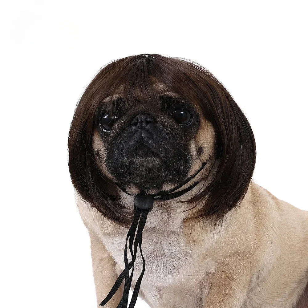 Fun & Stylish Pet Wigs for Dogs & Cats - Cosplay & Photoshoot Accessory