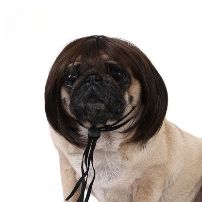 Fun & Stylish Pet Wigs for Dogs & Cats - Cosplay & Photoshoot Accessory