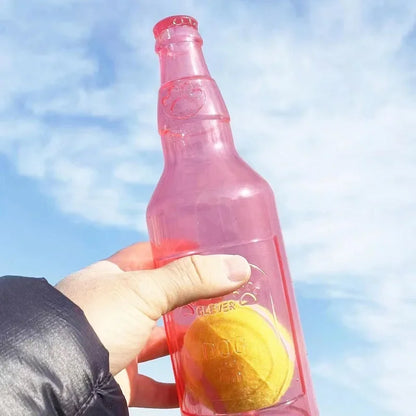 Squeaky Silicone Beer Bottle Dog Chew Toy