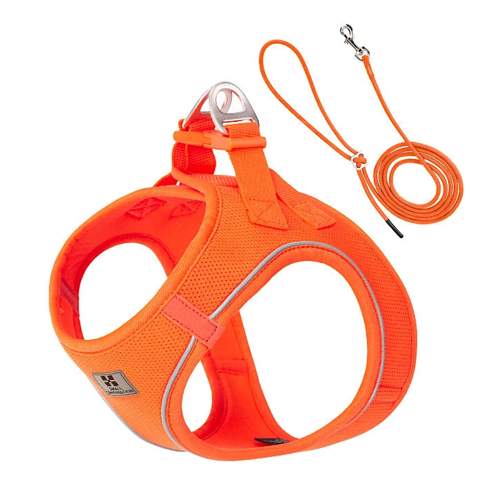 Reflective Dog Harness & Leash Set - Adjustable & Comfortable