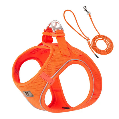 Reflective Dog Harness & Leash Set - Adjustable & Comfortable