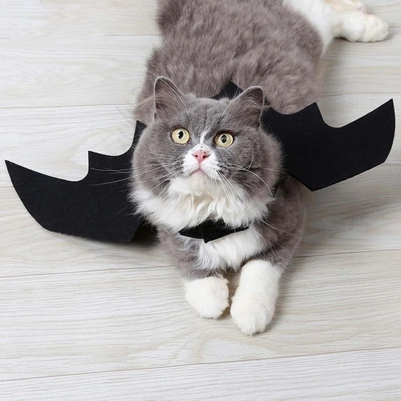 Bat Wings Cat Costume - Lightweight Anti-Escape Halloween Cosplay