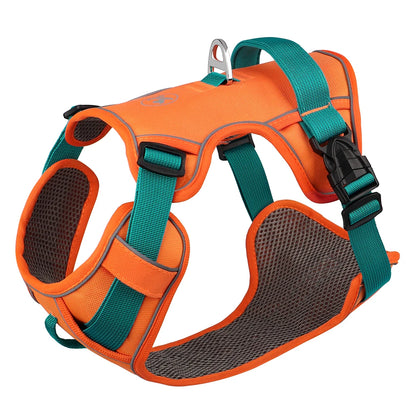 Adjustable Dog Harness