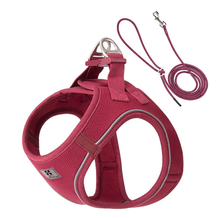Reflective Dog Harness & Leash Set - Adjustable & Comfortable