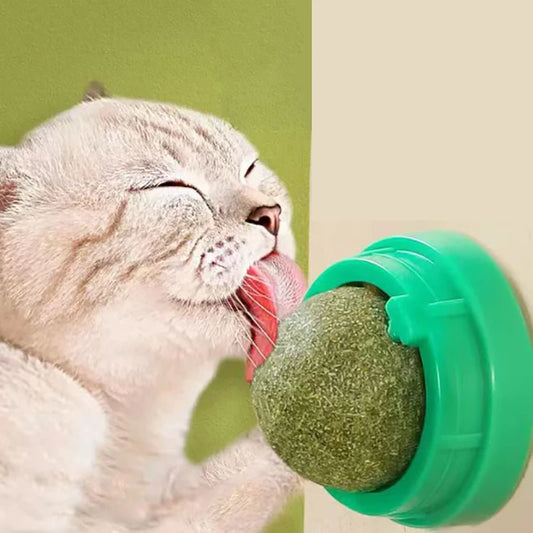 Catnip Wall Ball Toy for Cats - Digestive Health & Fun