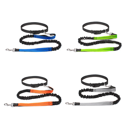 Hands-Free Adjustable Dog Leash for Active Pet Owners