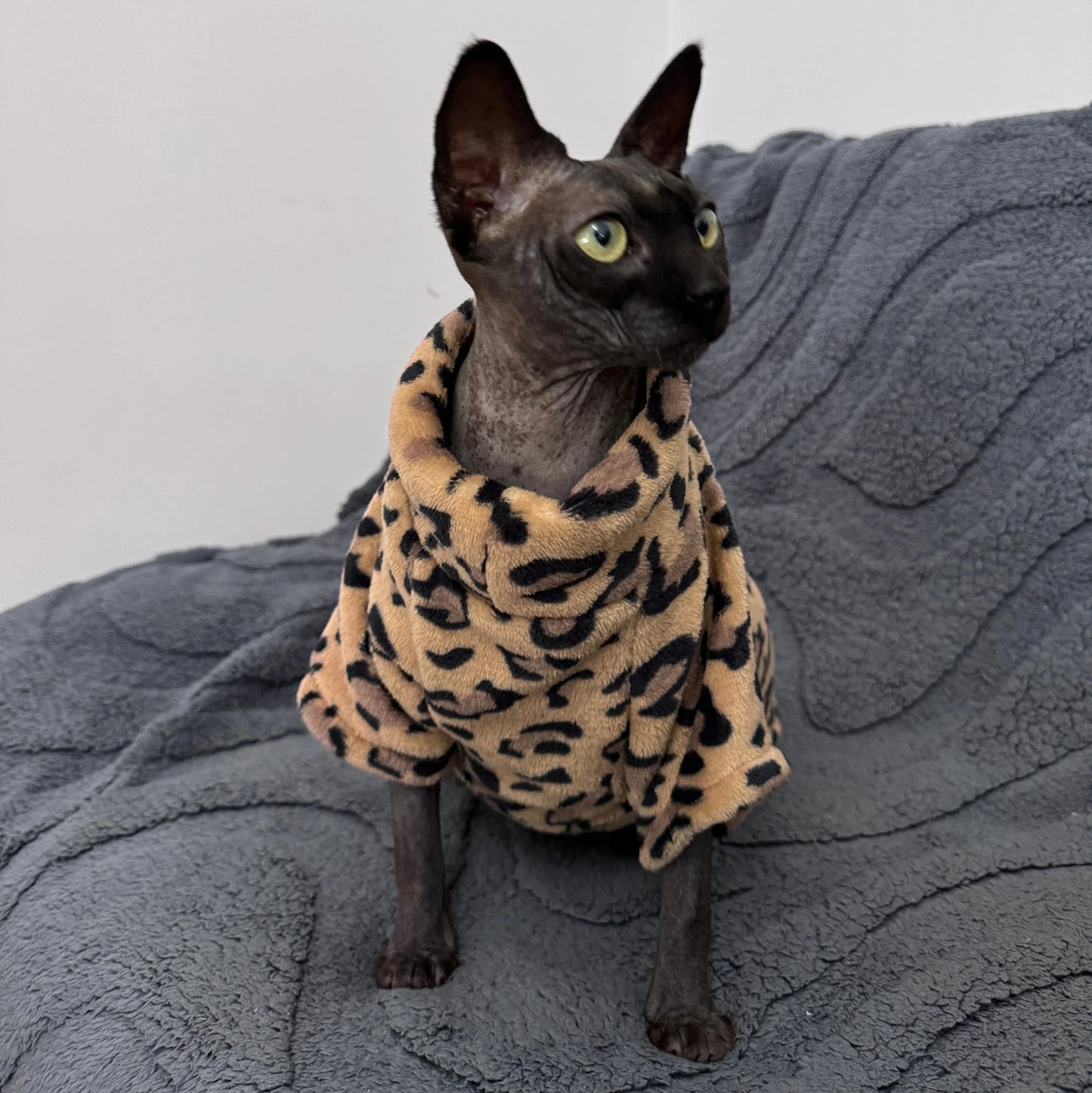 Soft Warm Winter Clothes for Sphynx Cats