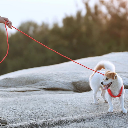 Reflective Dog Harness & Leash Set - Adjustable & Comfortable