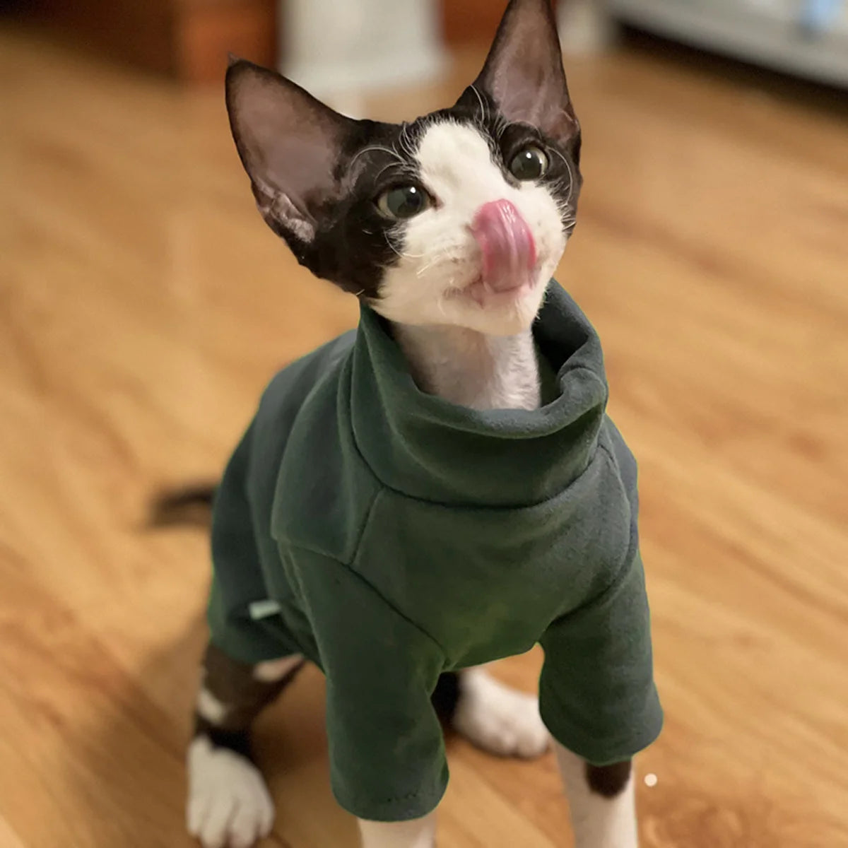 Soft Cotton Cat & Small Dog Hoodie - Cozy All Seasons Wear