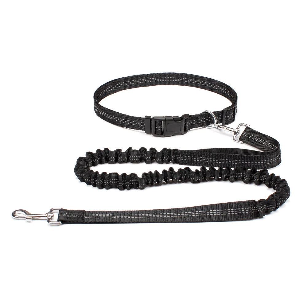 Hands-Free Adjustable Dog Leash for Active Pet Owners