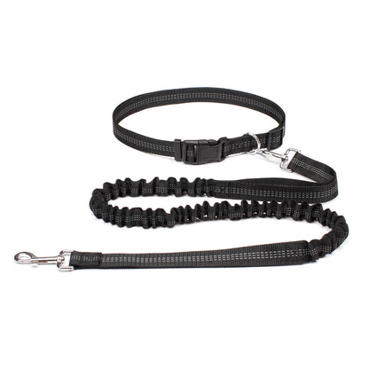 Hands-Free Adjustable Dog Leash for Active Pet Owners