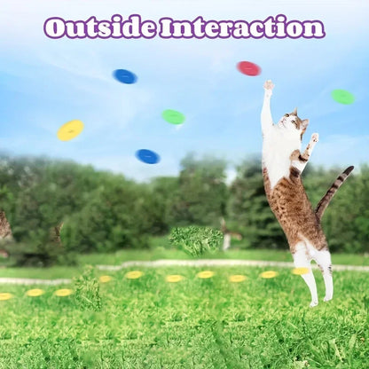 Interactive Cat Toy Launcher with Colorful Discs Set