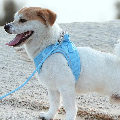 Reflective Dog Harness & Leash Set - Adjustable & Comfortable