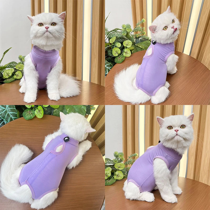 Comfortable Pet Recovery Suit - Anti-Licking & Breathable