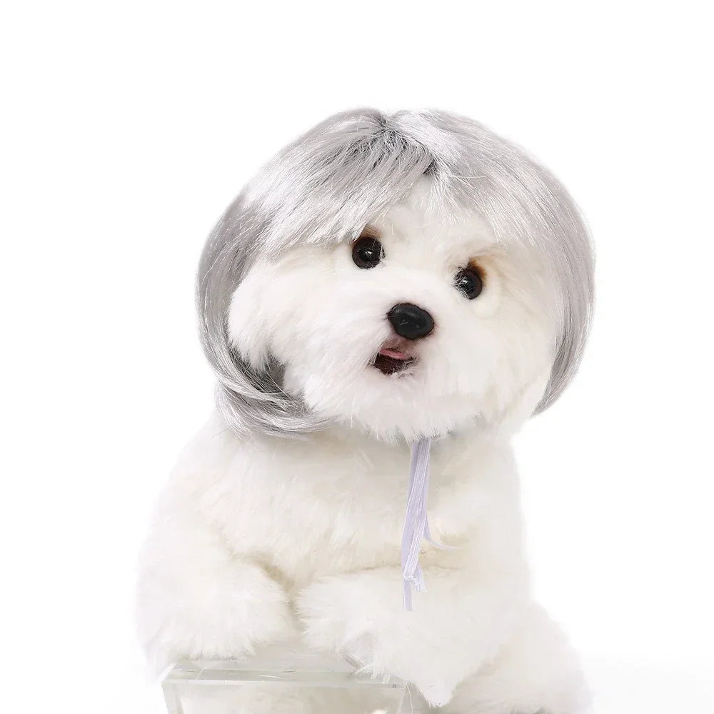 Fun & Stylish Pet Wigs for Dogs & Cats - Cosplay & Photoshoot Accessory