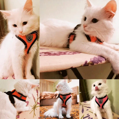 Adjustable and Breathable Harness for Dogs and Cats