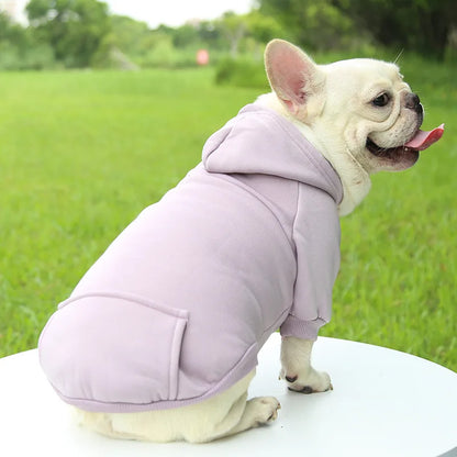 Cozy Winter Hoodie for Small to Medium Pets