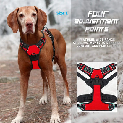 Heavy-Duty Dog Harness