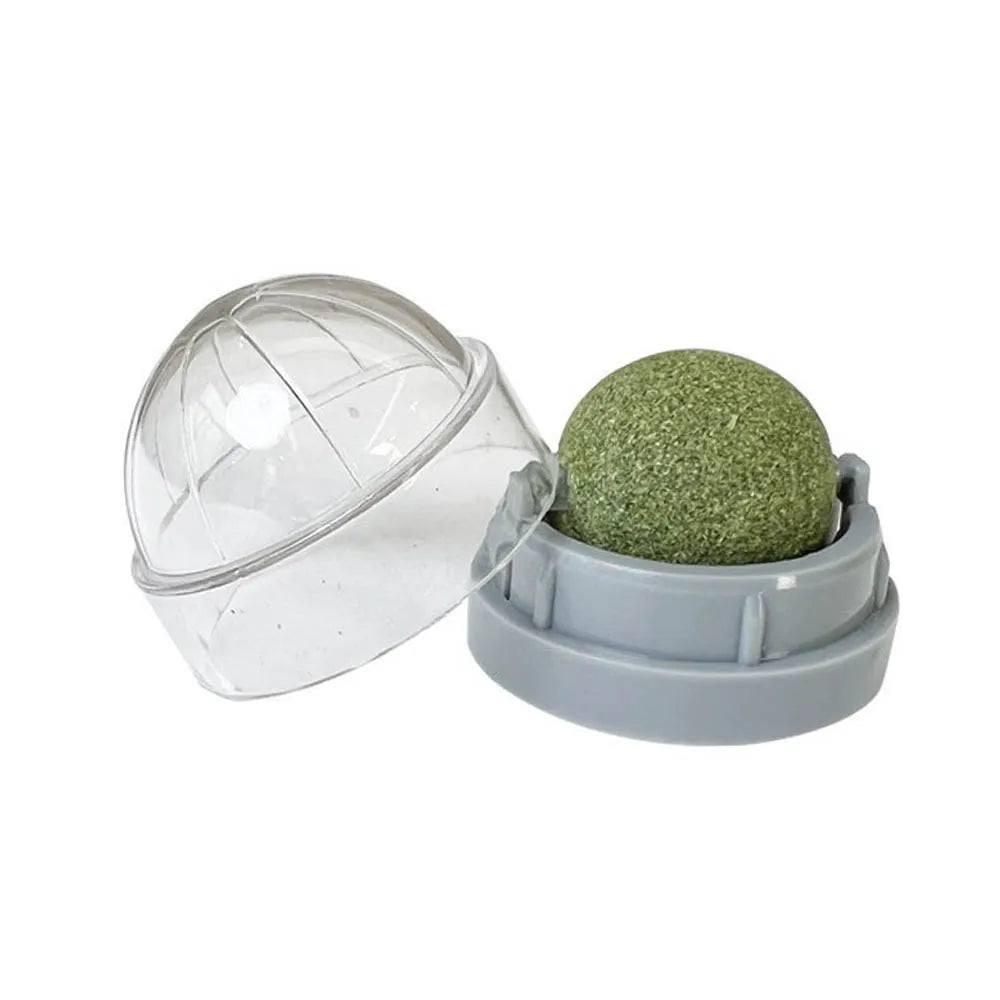 Catnip Wall Ball Toy for Cats - Digestive Health & Fun