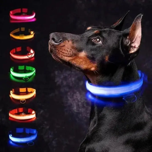 SafeGlow Collar™ – Luminous Safety for Pets