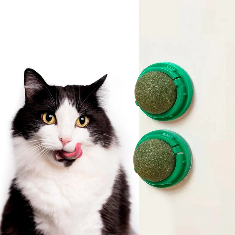 Catnip Wall Ball Toy for Cats - Digestive Health & Fun