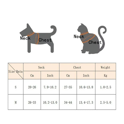 Adorable Harness & Leash Set for Outdoor Adventures