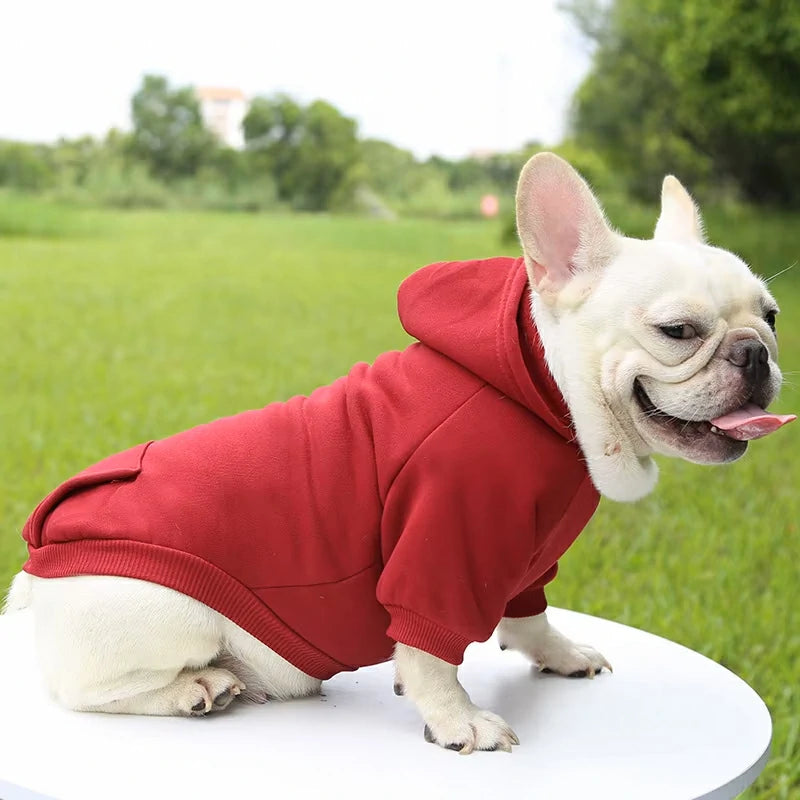 Cozy Winter Hoodie for Small to Medium Pets