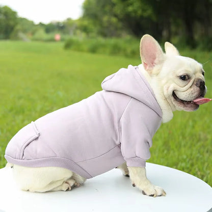 Cozy Winter Hoodie for Small to Medium Pets